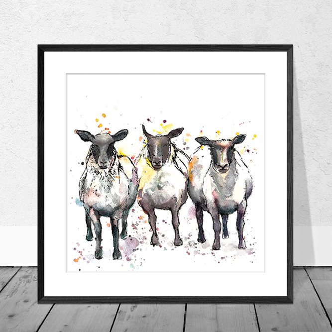 Sheep Art Print